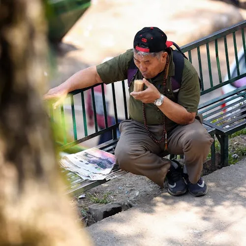 Đỗ Gia Huy